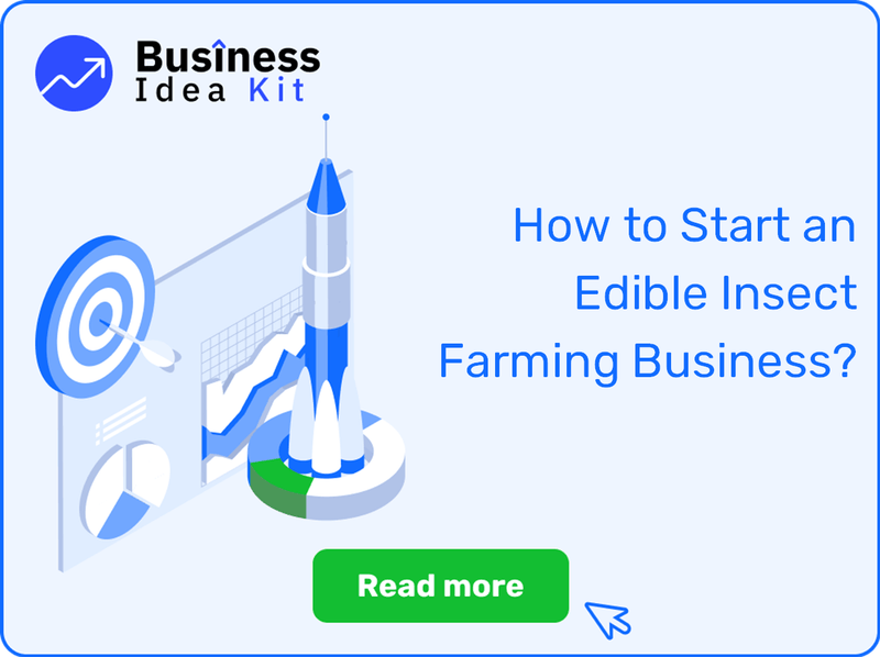 How to Start an Edible Insect Farming Business Successfully?