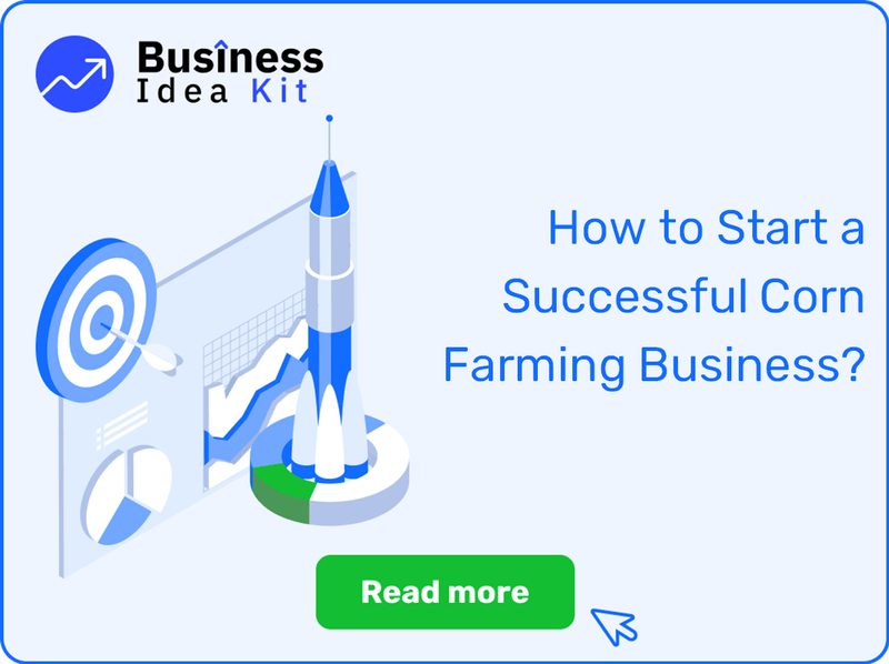 How to Start a Successful Corn Farming Business?