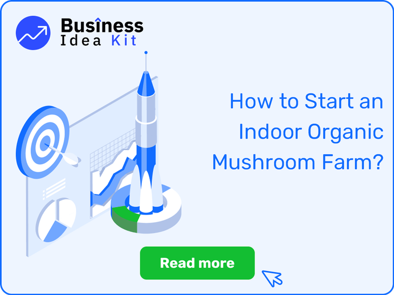 How to Start an Indoor Organic Mushroom Farm Successfully?