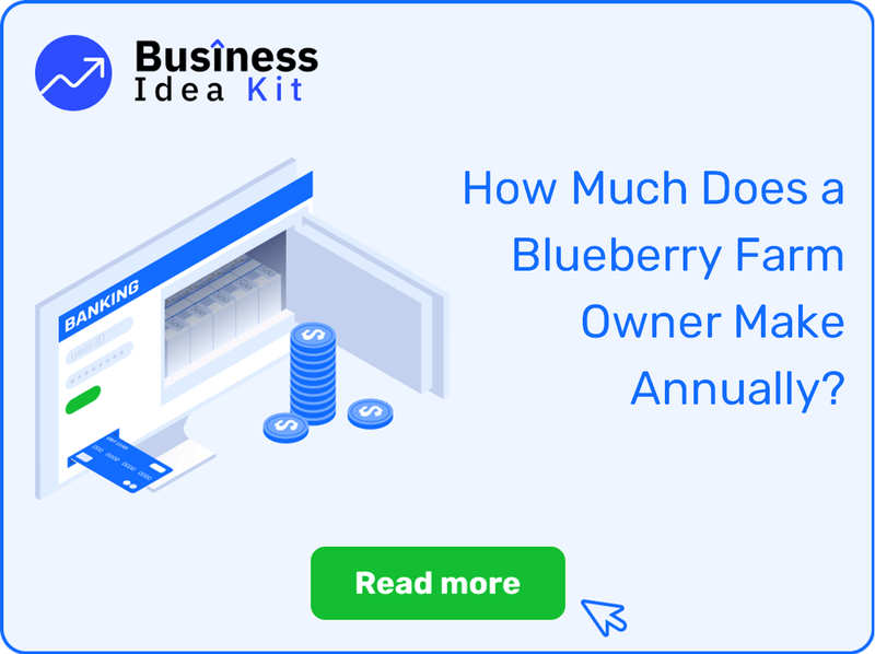 How Much Does a Blueberry Farm Owner Make Annually?
