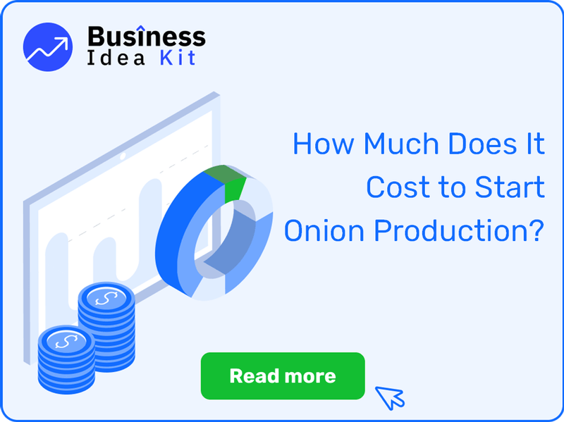 How Much Does It Cost to Start Onion Production?