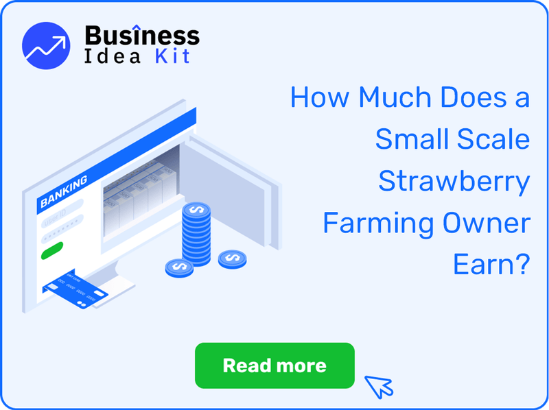How Much Does a Small Scale Strawberry Farming Owner Earn?