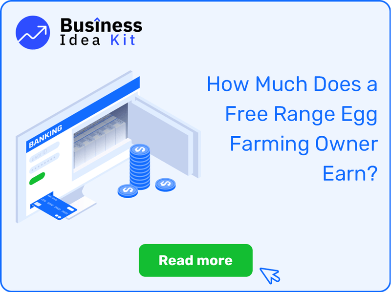 How Much Does a Free Range Egg Farming Owner Earn?