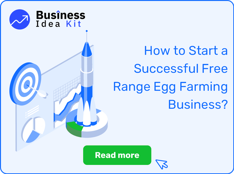 How to Start a Successful Free Range Egg Farming Business?