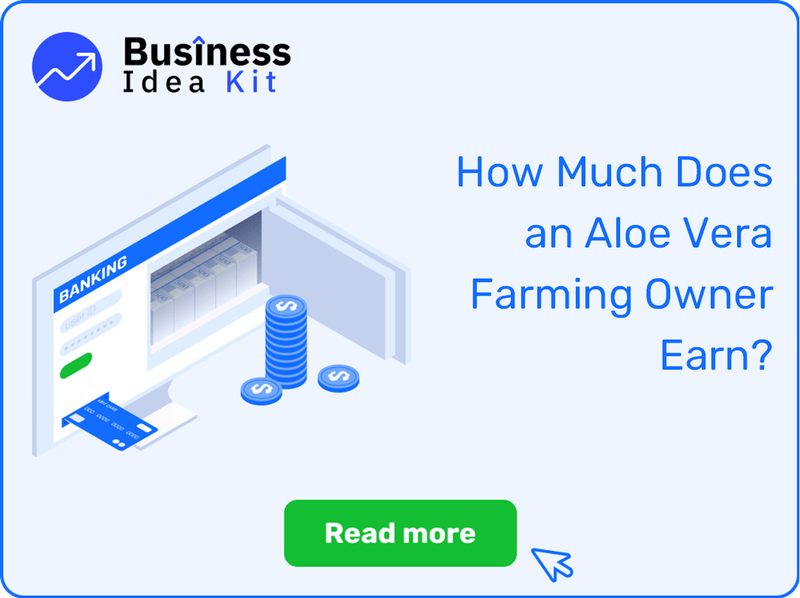 How Much Does an Aloe Vera Farming Owner Earn?