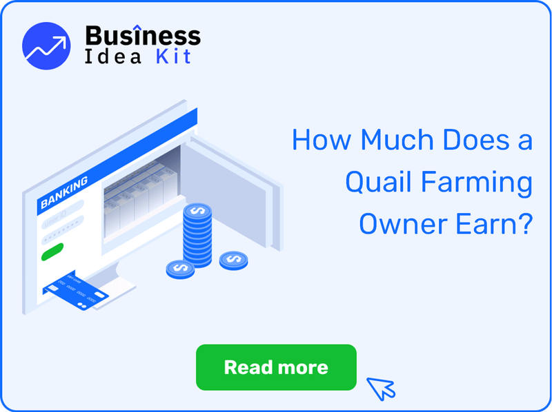 How Much Does a Quail Farming Owner Earn?