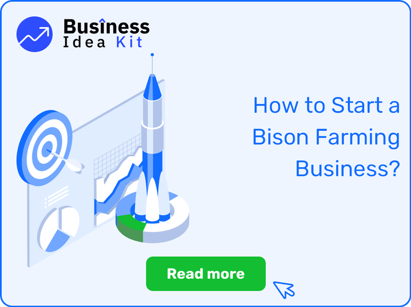 How to Start a Bison Farming Business Successfully?