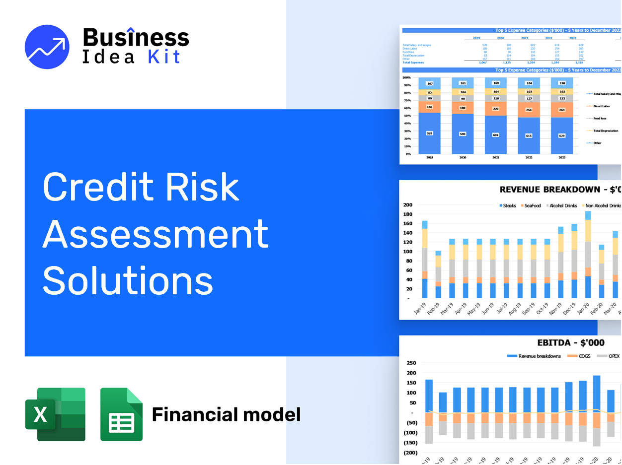 Credit Risk Assessment Solutions Financial Model Example