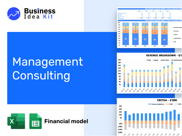 Management Consulting Financial Model Example