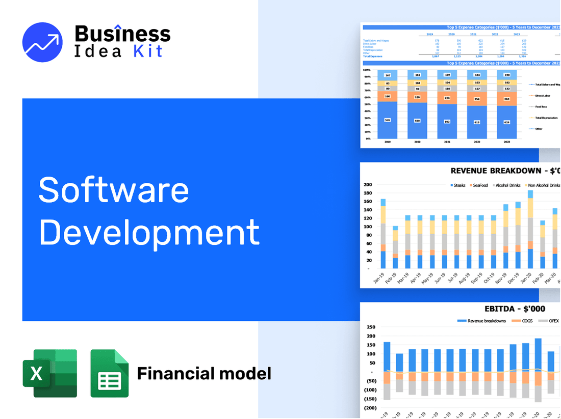Software Development Financial Model Example